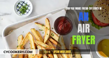 Air Fryer Fresh Cut Fries: How to Make Them?