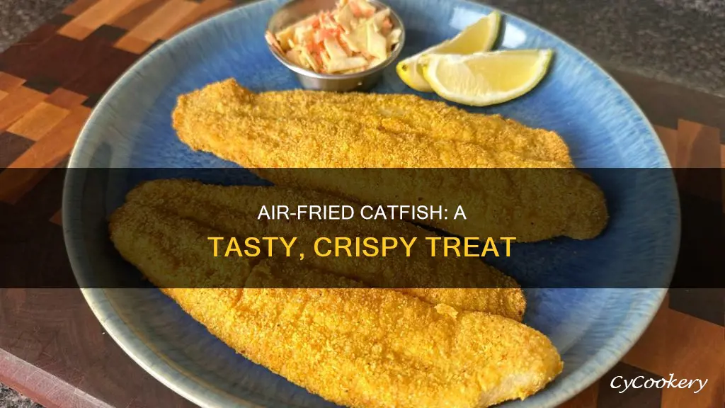 can you make fried catfish in an air fryer