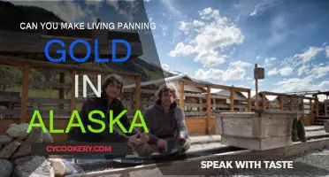 Panning for Gold in Alaska: A Lucrative Living?