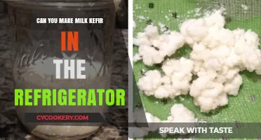 Refrigerator Fermentation: Can You Successfully Make Milk Kefir Cold?