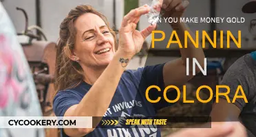 Gold Panning in Colorado: Is It Profitable?