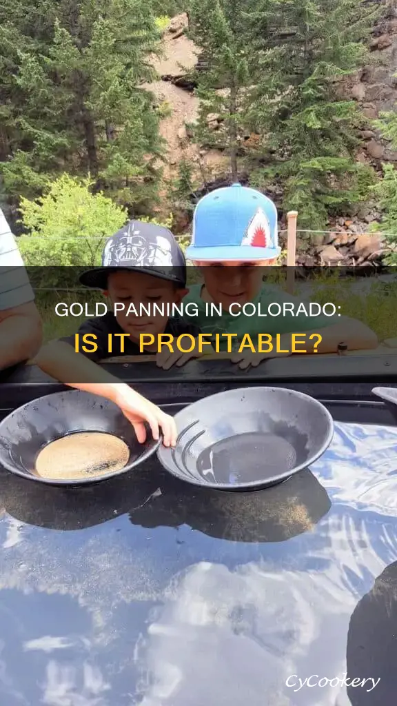 can you make money gold panning in colorado