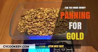 Panning for Gold: A Profitable Hobby?