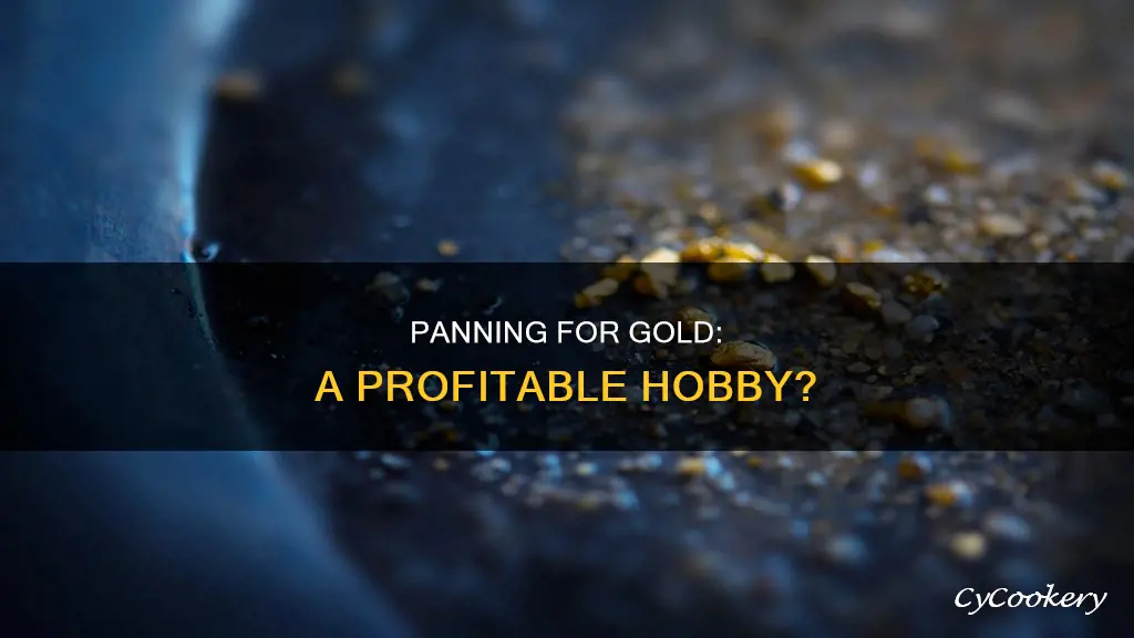 can you make money panning for gold