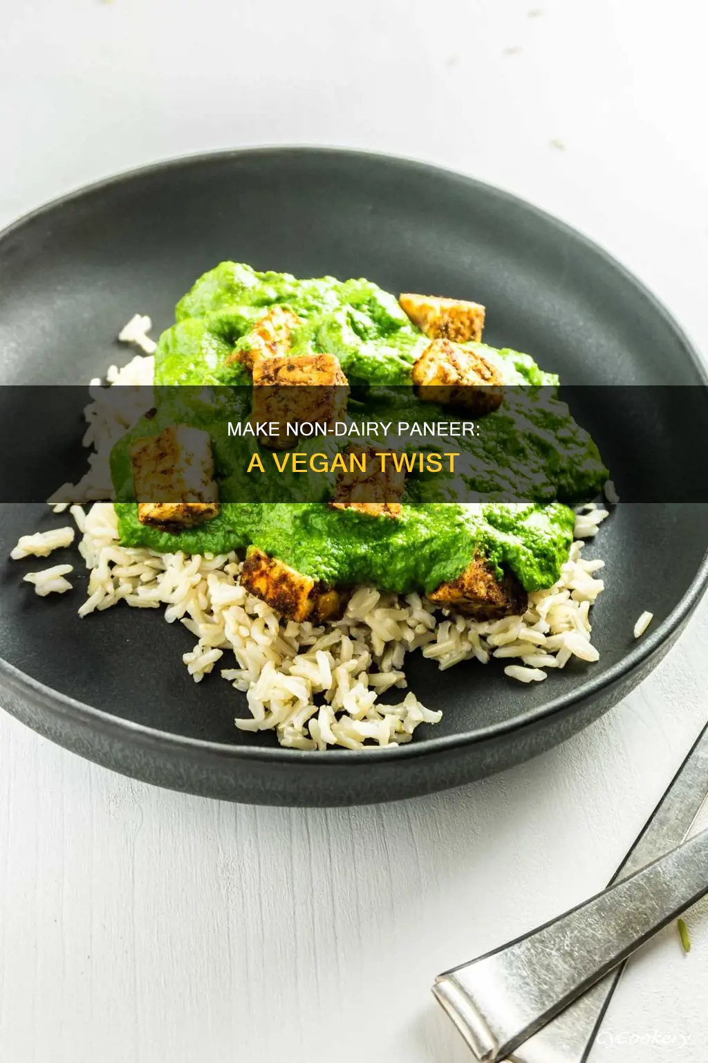 can you make non dairy paneer