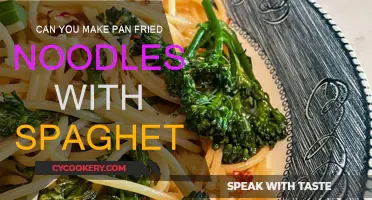 Pan-fried Spaghetti: A Quick Noodle Fix?