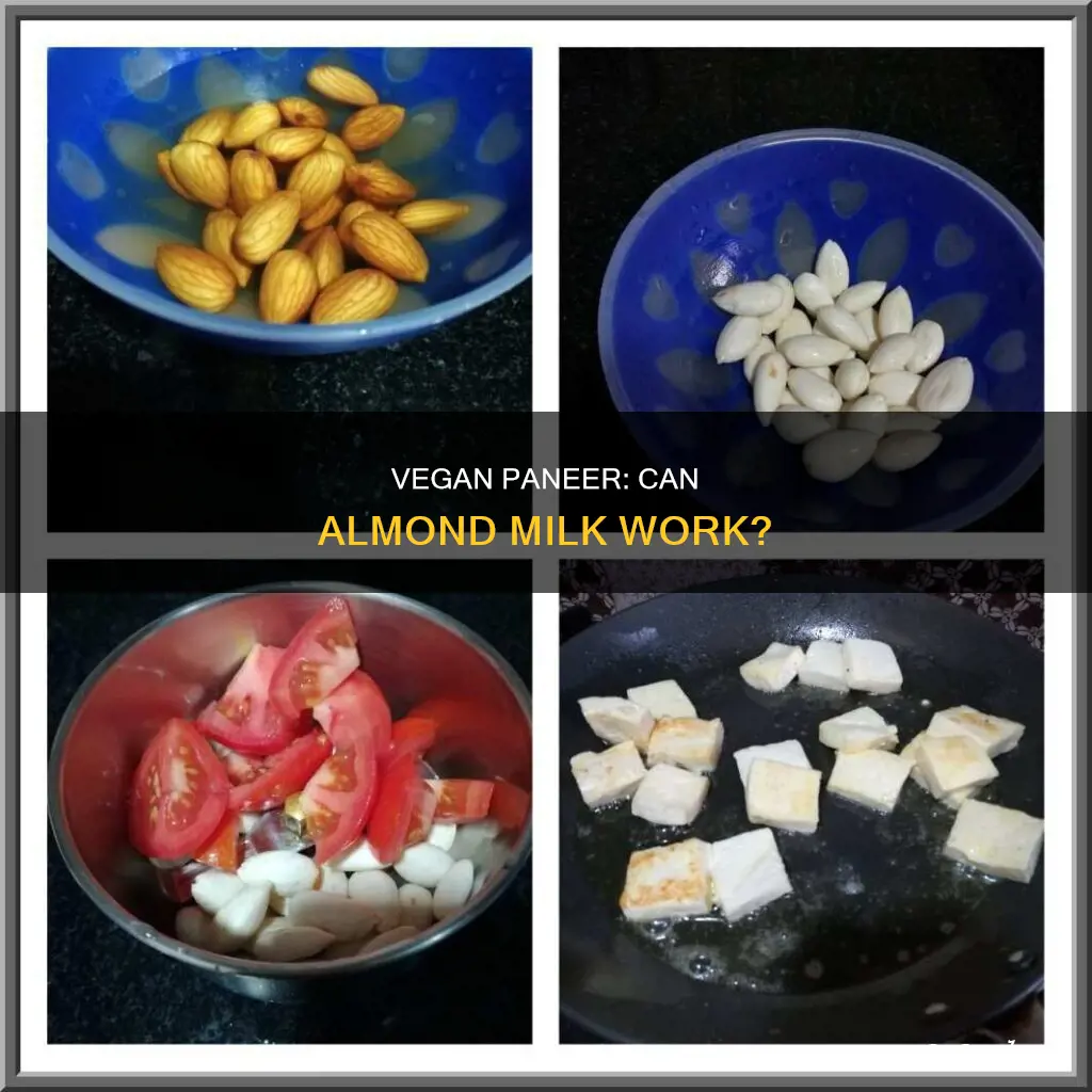 can you make paneer from almond milk