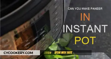 Making Paneer in an Instant Pot: Is It Possible?