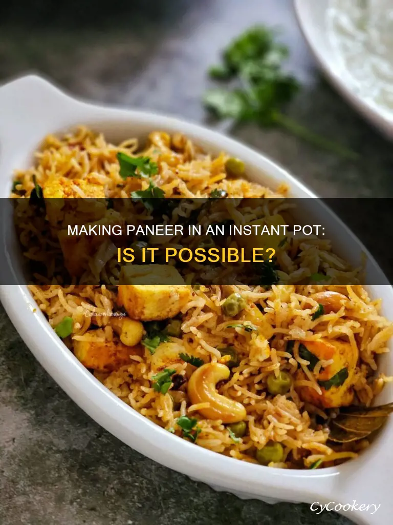 can you make paneer in instant pot