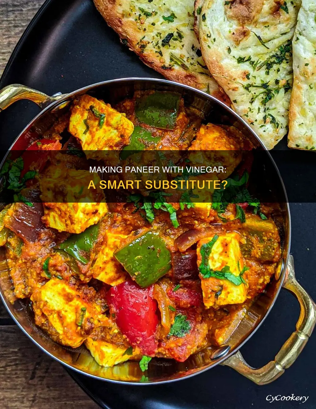 can you make paneer with vinegar