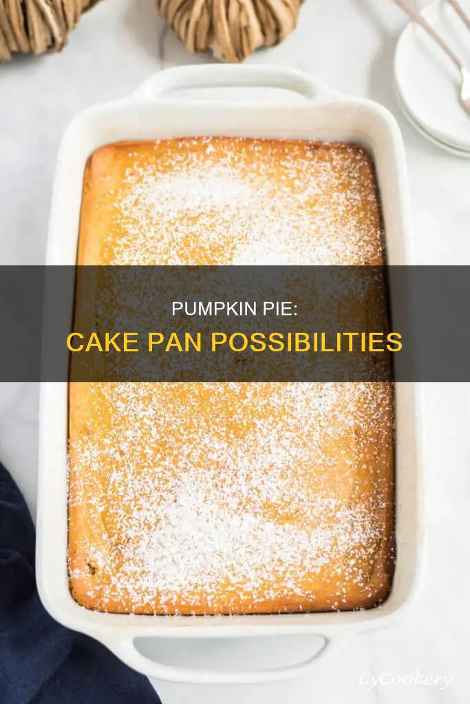 can you make pumpkin pie in a cake pan