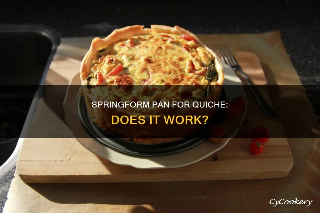 can you make quiche in a springform pan