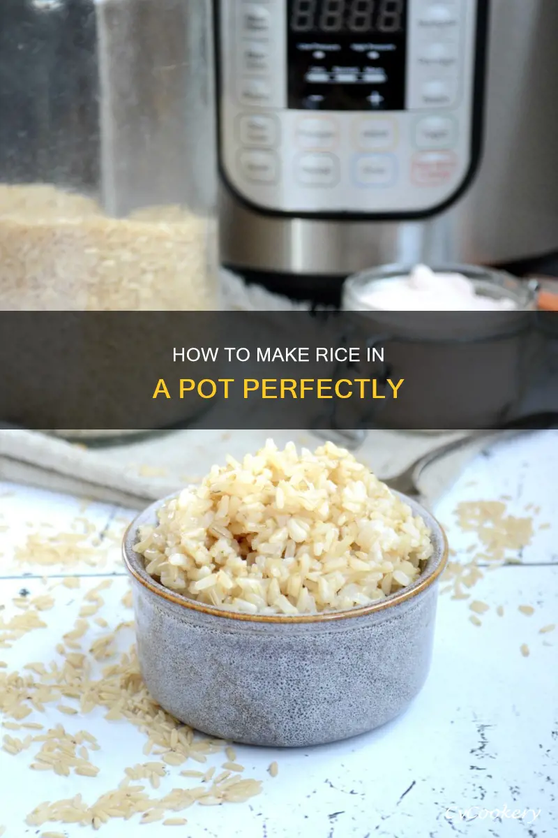 can you make rice in a pot