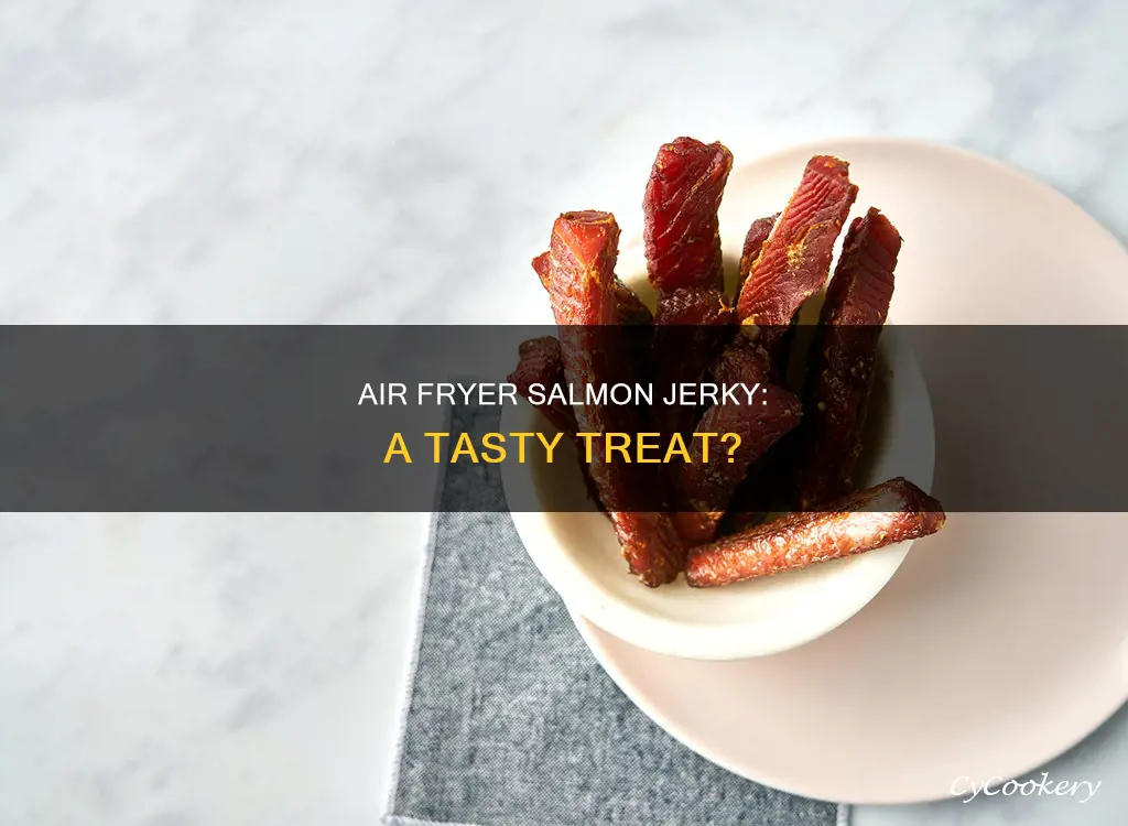 can you make salmon jerky in an air fryer