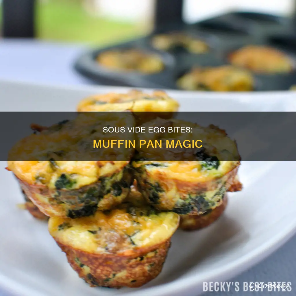 can you make sous egg bites in muffin pan