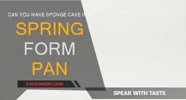 Springform Pan Sponge Cake: Is It Possible?