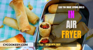 Air-Fried Spring Rolls: A Healthy, Crunchy Treat