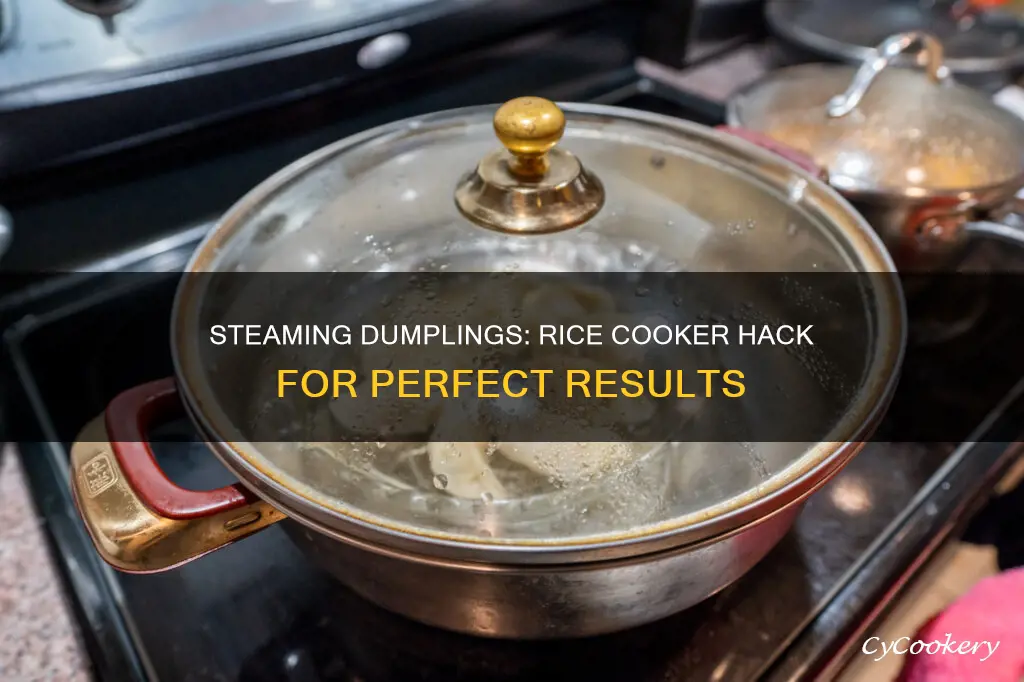 can you make steamed dumplings in a rice cooker