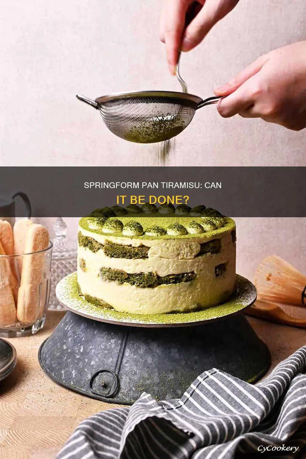 can you make tiramisu in a springform pan
