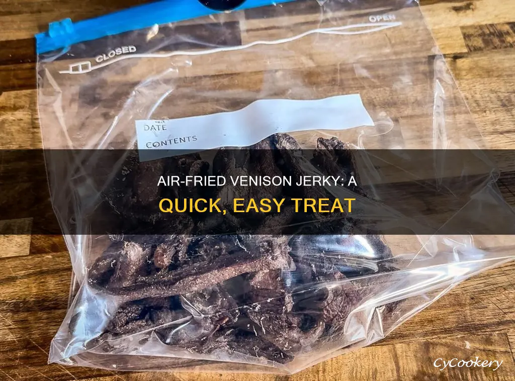 can you make venison jerky in an air fryer