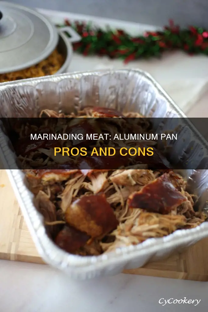 can you marinade meet n an aluminium pan
