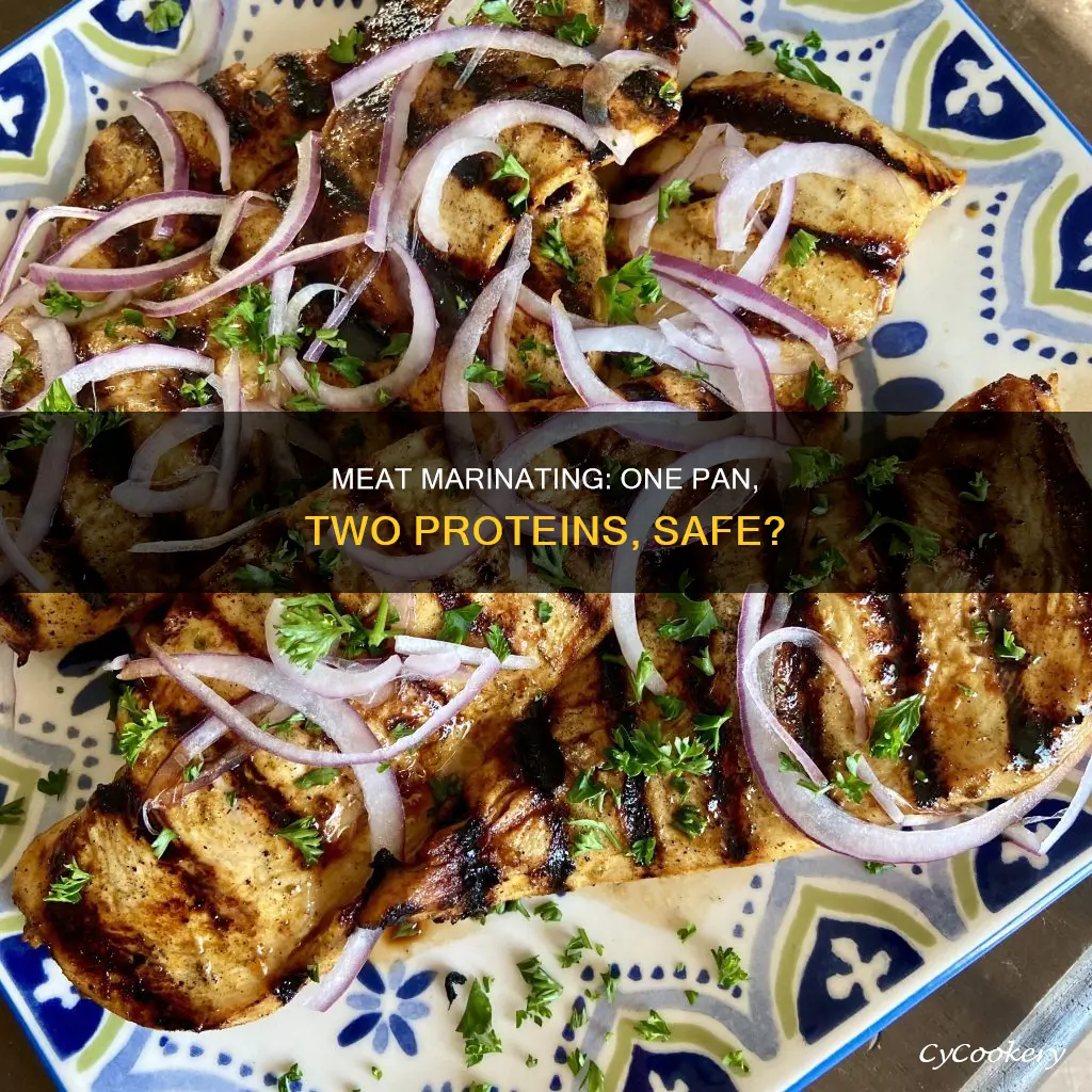 can you marinate chicken and steak in the same pan