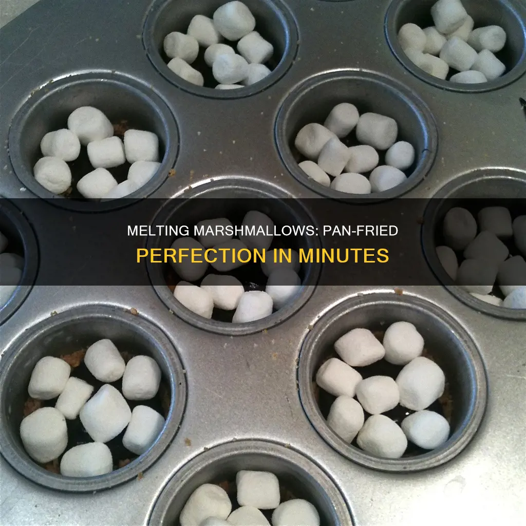 can you melt marshmallows in a pan