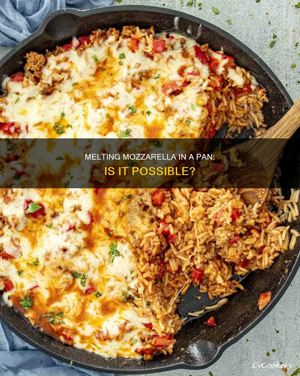 can you melt mozzarella in a pan