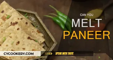 Melted Magic: Can You Melt Paneer?