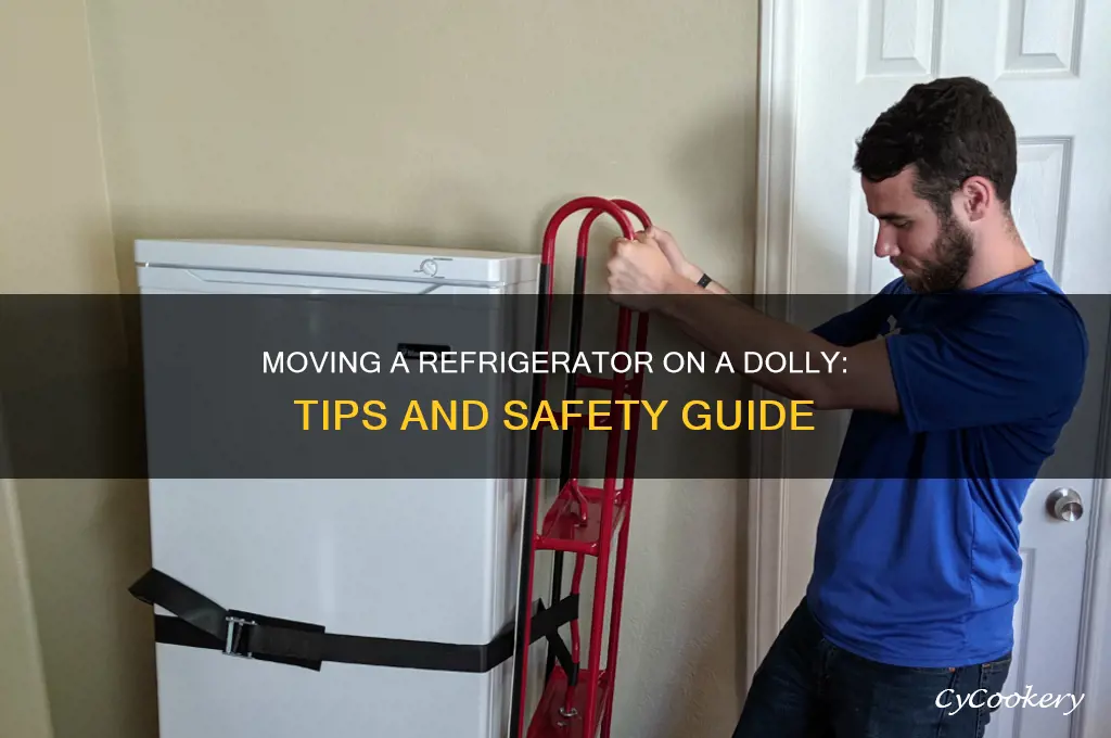 can you move a refrigerator on a dolly