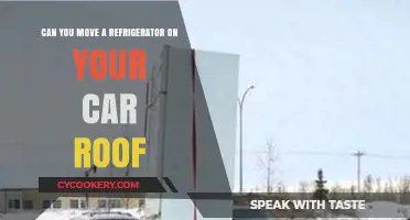 Moving a Fridge on Your Car Roof: Safe or Risky?