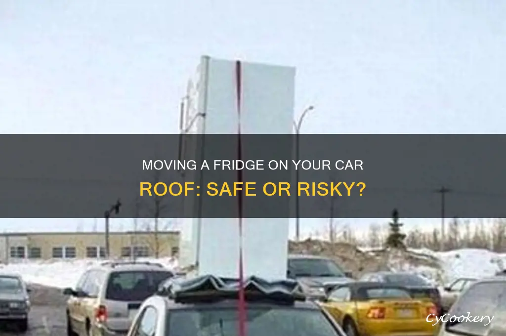 can you move a refrigerator on your car roof