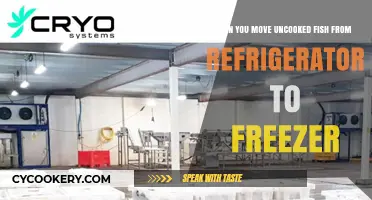 Safely Moving Uncooked Fish: Fridge to Freezer Best Practices