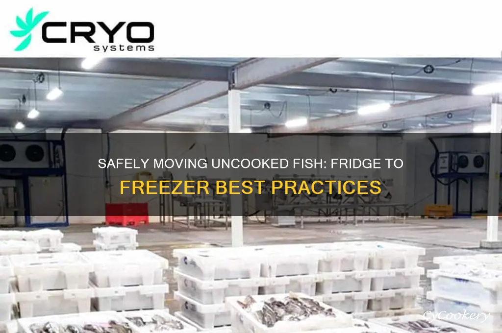 can you move uncooked fish from refrigerator to freezer