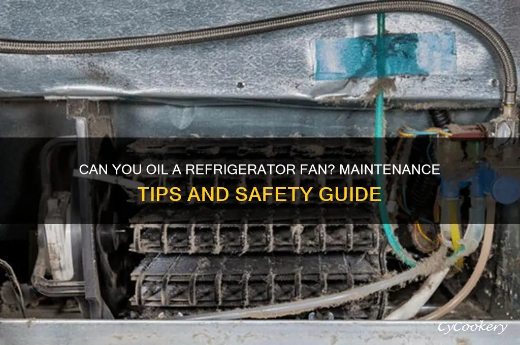 can you oil refrigerator fan