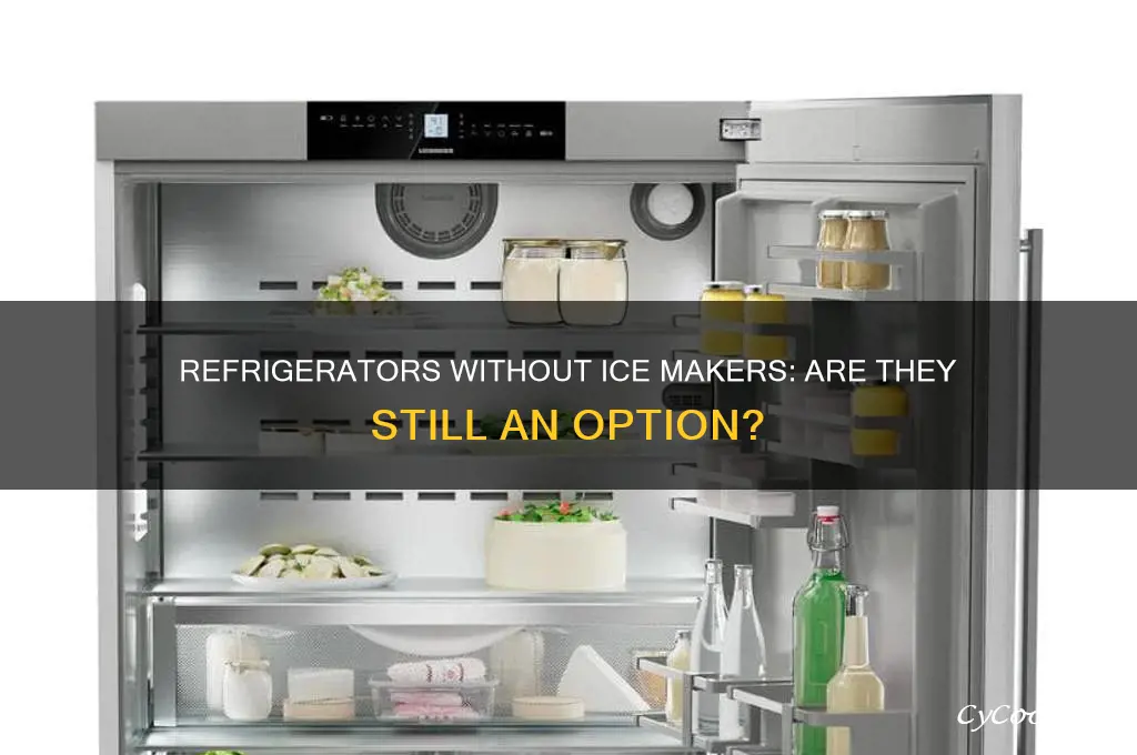 can you order any refrigerator without an ice maker