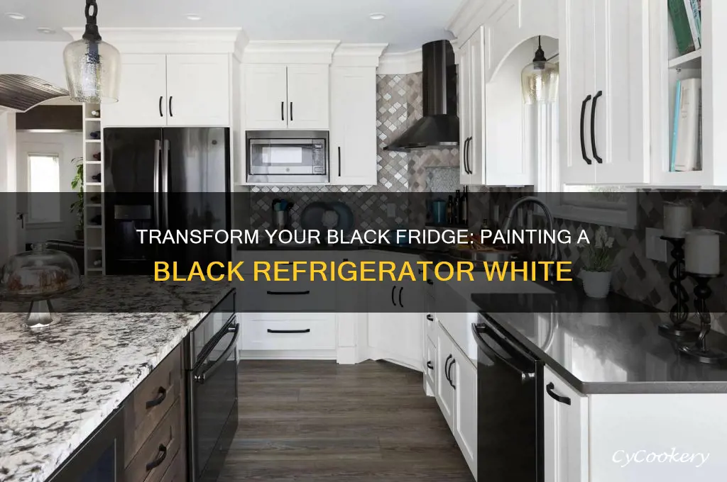 can you paint a black refrigerator white