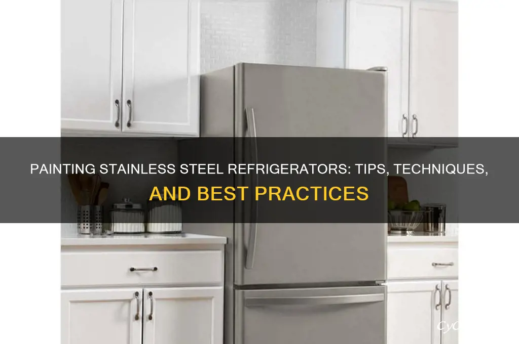 can you paint a stainless steel refrigerator