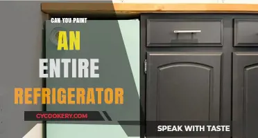 Painting Your Fridge: A Complete Guide to Transforming Your Refrigerator