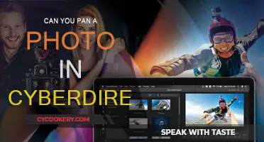 Pan Photos Like a Pro with CyberDirector