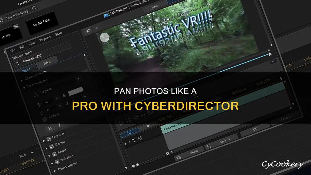 can you pan a photo in cyberdirector