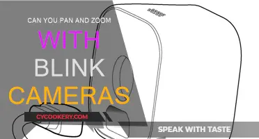 Exploring Pan and Zoom Features on Blink Cameras