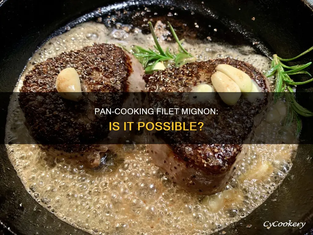 can you pan cook a filet minoj