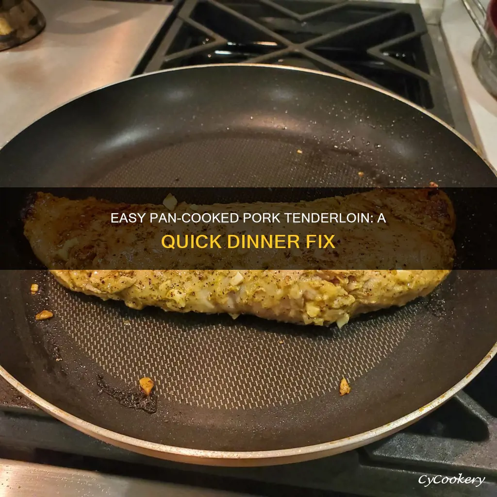 can you pan cook pork tenderloin