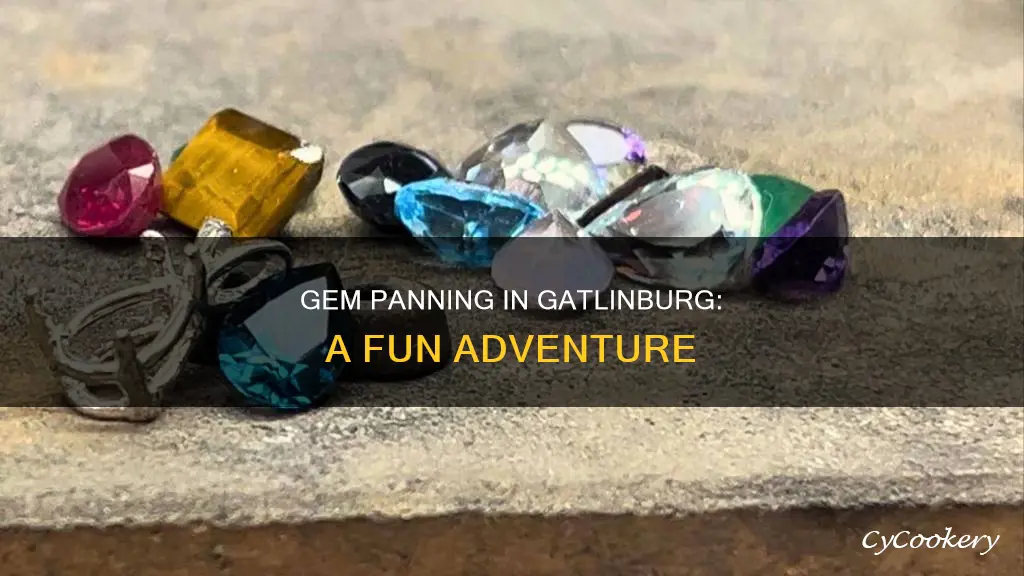 can you pan for gems in gatlinburg tn