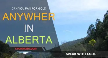 Panning for Gold: Exploring Alberta's Hidden Treasures