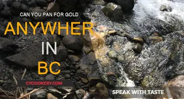 Panning for Gold: BC's Best Spots