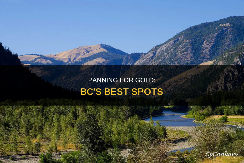 can you pan for gold anywhere in bc