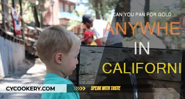 Panning for Gold: California's Free-for-All Adventure