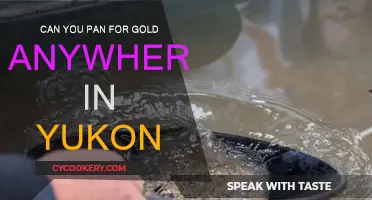 Panning for Gold: Where in Yukon?